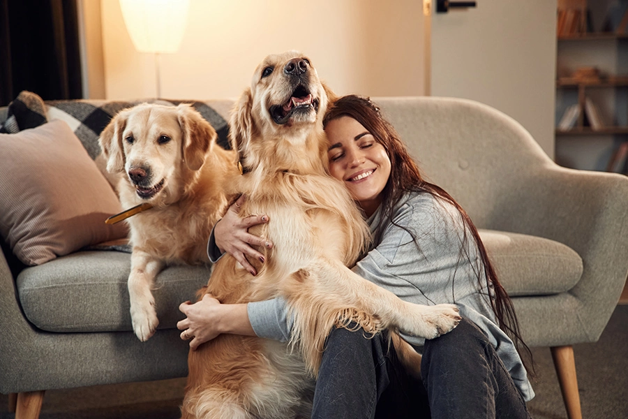 proyecto pet friendly-Lugano-venta-de-departamentos