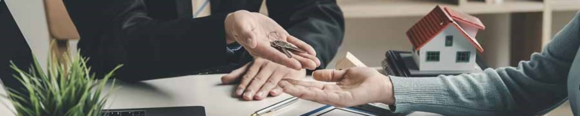 Oportunidades inmobiliarias en Magdalena