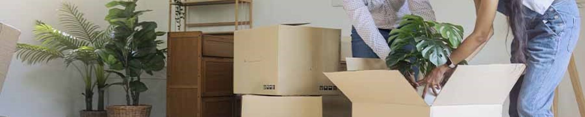 proyectos inmobiliarios en Jesús María 2025